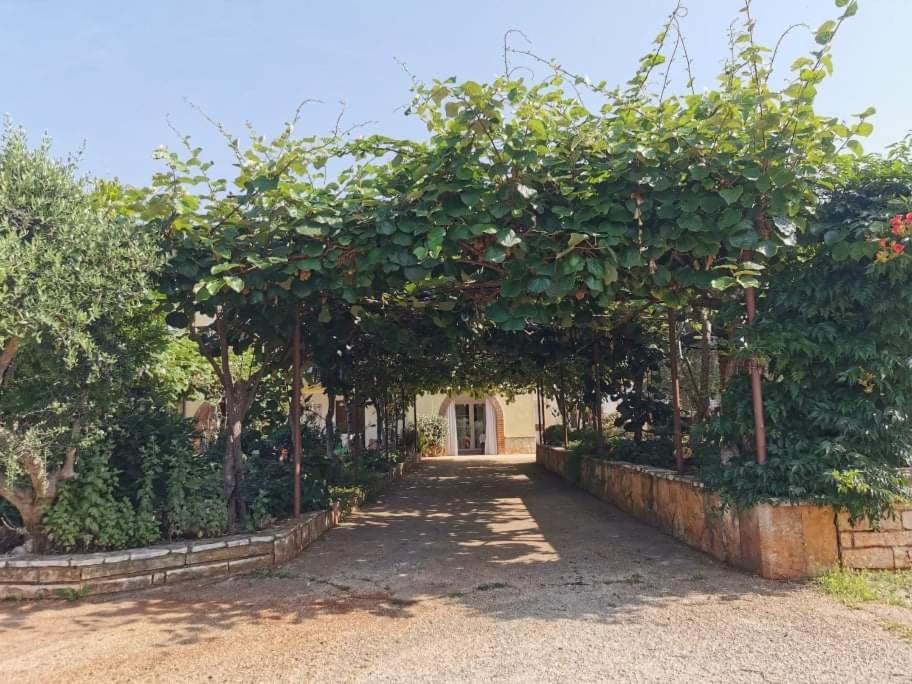 Apartament App Carla Novigrad  Zewnętrze zdjęcie