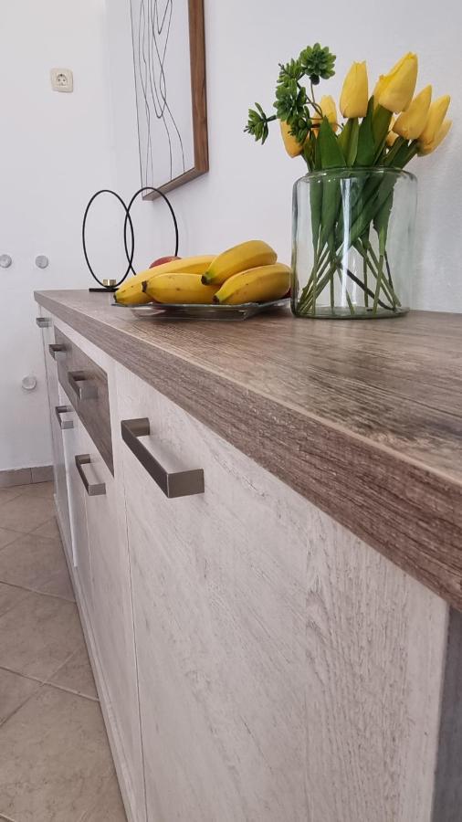 Apartament App Carla Novigrad  Zewnętrze zdjęcie