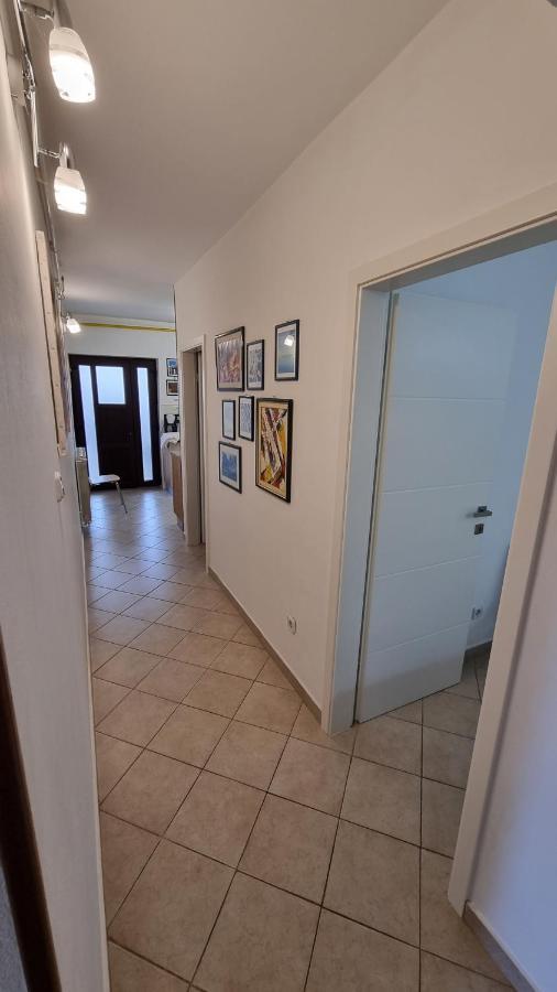 Apartament App Carla Novigrad  Zewnętrze zdjęcie
