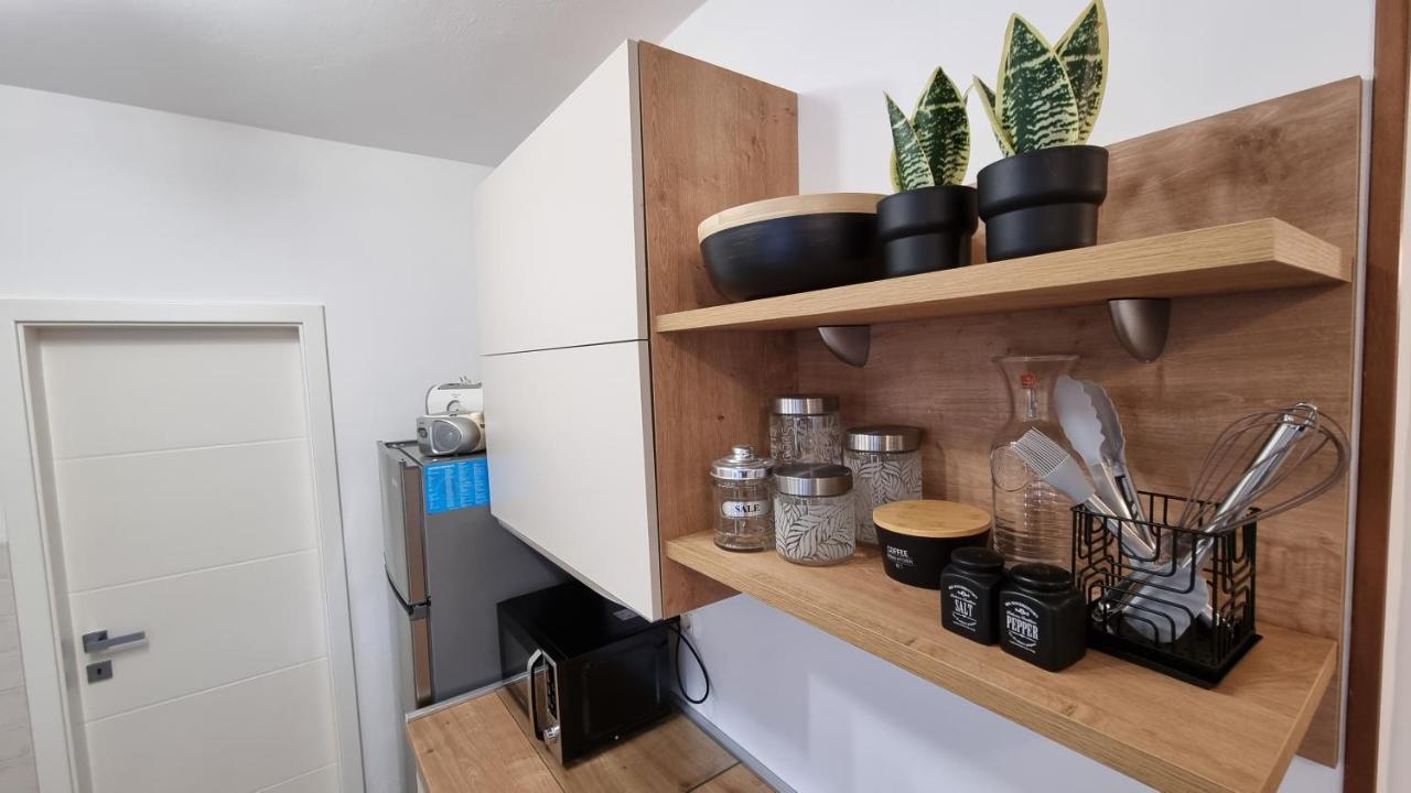 Apartament App Carla Novigrad  Zewnętrze zdjęcie